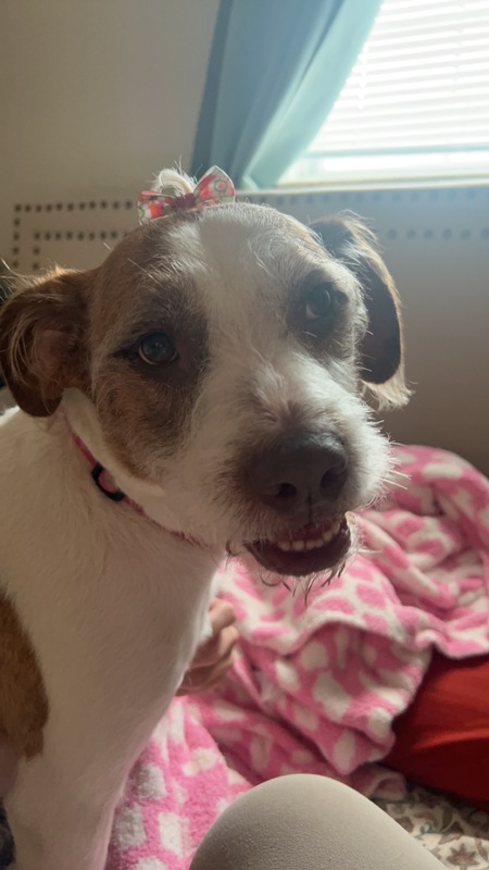 Gracie