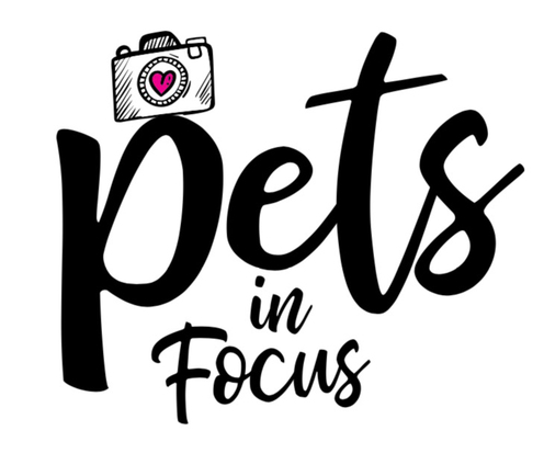 https://www.petsinfocusphoto.com/