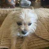 Entry image for Fiona