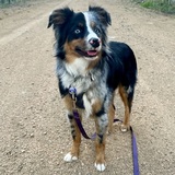 Entry image for River