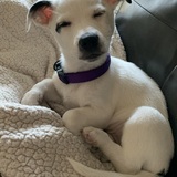 Entry image for Ariel Beckman Heskett