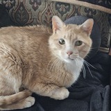 Entry image for Marvin