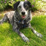 Entry image for Avery