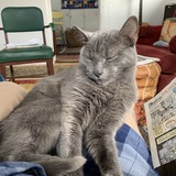 Entry image for Sooty