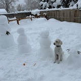 Entry image for Tiny Diamond