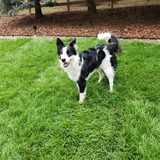 Entry image for Winter