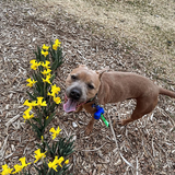 Entry image for Loki 