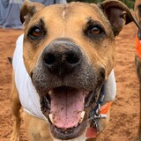 Entry image for Charlie