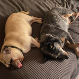 Entry image for Suki and Betty