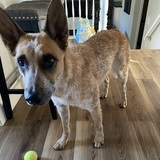 Entry image for Kuemper