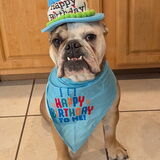 Entry image for Arya