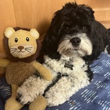 Entry image for Jackson 