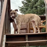 Entry image for Galway