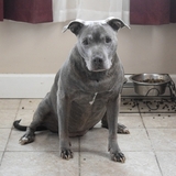 Entry image for Puff