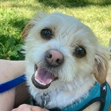 Entry image for Squish