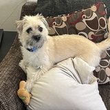 Entry image for Sully