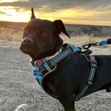 Entry image for Clay