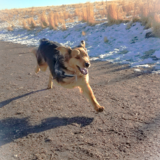 Entry image for Bubba