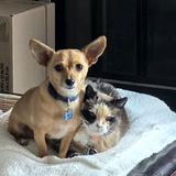 Entry image for Baby & Paco