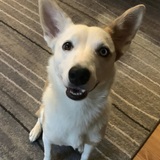 Entry image for Skye