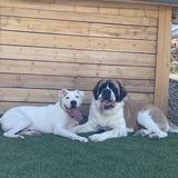 Entry image for Blake Street & Benny Benito Blanco