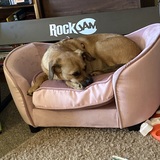 Entry image for Coco