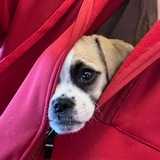 Entry image for Wilford Brimley 