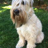 Entry image for Katniss 