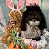 Entry image for Dakini