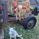 Entry image for Aspen