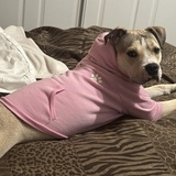 Entry image for Eliana