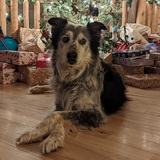 Entry image for Quigley