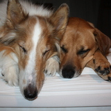 Entry image for River & Luke