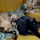 Entry image for Moose and Leslie