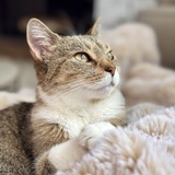 Entry image for Madeline