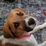 Entry image for Gilly