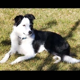 Entry image for Macy