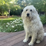 Entry image for Cyclone