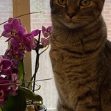 Entry image for Hazel Louise 