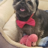 Entry image for Claire