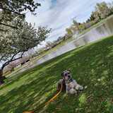 Entry image for Hope