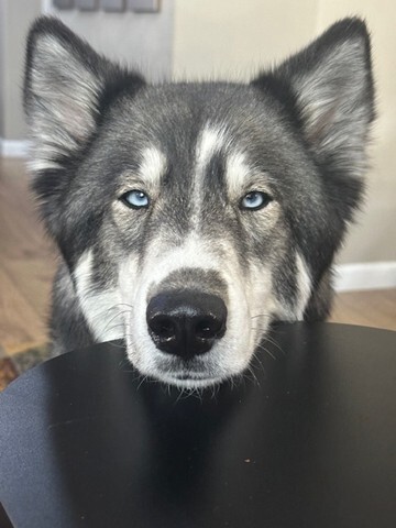 Lucy