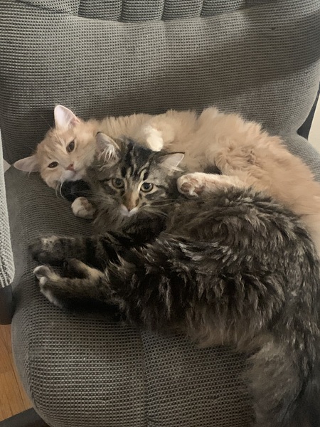 Butters and Lolo