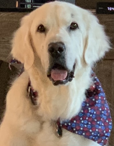 Finley