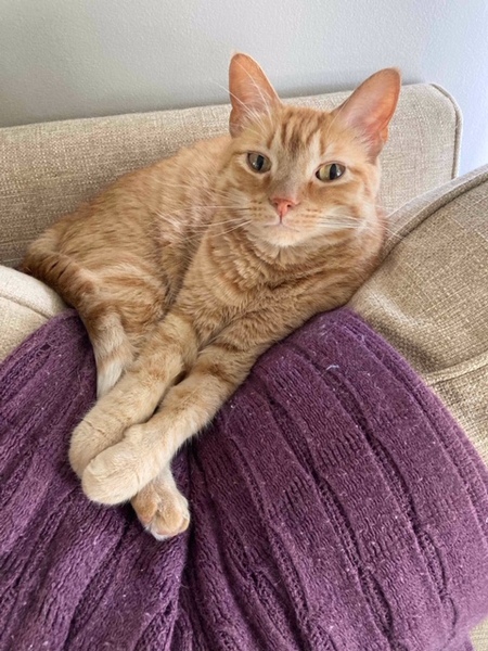 Murphy