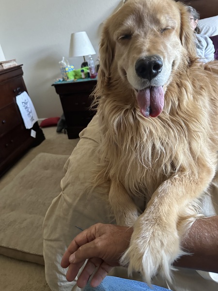 Murphy