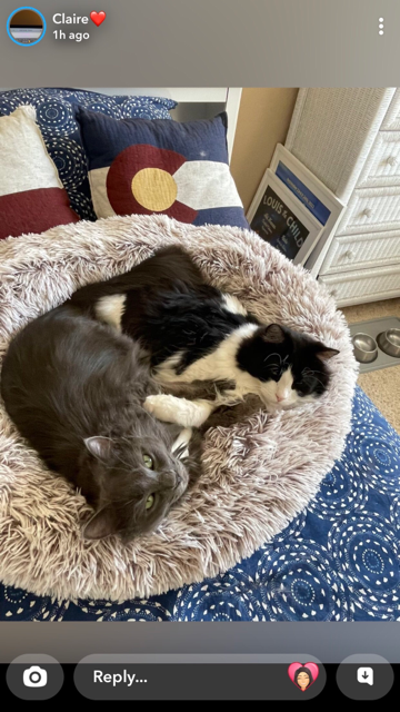 Rudy and Remy