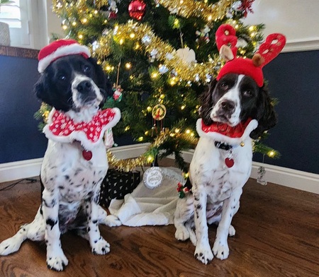 Roxi & Zoe