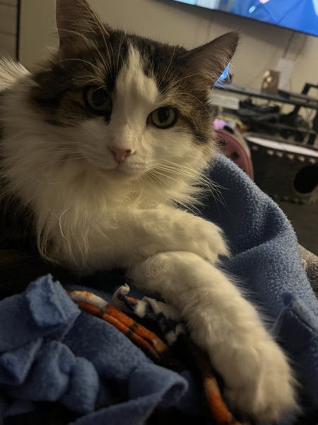 Charlie