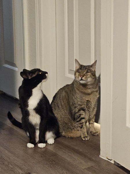 Peepers and Geiger